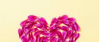 Heart-shaped arrangement of vibrant pink flower petals on soft cream background for romantic designs and Valentine's Day projects.