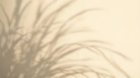 Soft shadow of tropical grass leaves on a warm beige wall, creating a natural, minimalist aesthetic for backgrounds and design overlays.