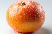 Fresh ripe tomato with water droplets on red skin, macro photography showing detailed texture and natural moisture on smooth surface against light background.