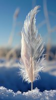 Delicate white feather standing upright in fresh snow with frost crystals forming along its edges against blurred winter blue background. Nature macro photography.