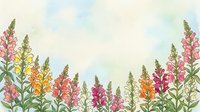 Watercolor snapdragon flowers border in pink, yellow, and coral tones on soft pastel background, hand-drawn botanical art for cards and prints.