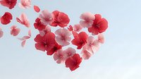 Red and pink hibiscus flowers arranged in heart shape on white background for romantic design projects and Valentine decorations.