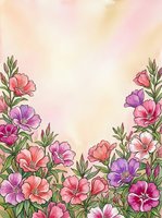 Watercolor floral border with pink and purple blooms on a soft peach background, leaving copy space for greeting cards and invitations.