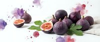 Fresh purple figs with green leaves on white fabric background with colorful watercolor splashes for culinary and healthy eating concepts.
