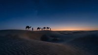 Camel caravan silhouettes crossing desert sand dunes at twilight with dramatic blue and orange sky. Desert travel and adventure concept for tourism marketing.
