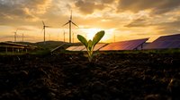 Green plant seedling growing from soil with wind turbines and solar panels at sunset representing sustainable renewable energy and environmental growth.