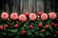 Pink roses and fresh raspberries arranged in line on dark wooden background with green leaves creating romantic food and floral composition.