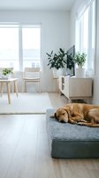 Golden retriever dog sleeping on pet bed in bright modern living room with wooden furniture and houseplants by large windows creating cozy home atmosphere.