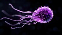 Purple glowing bacterium with tentacle-like appendages on dark background, microscopic view showing detailed cellular structure and bioluminescent effects.