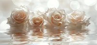 Delicate cream roses floating on water surface with soft bokeh background, creating serene romantic atmosphere for wedding or spa design.