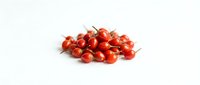 Fresh red currants with stems isolated on white background, ready for food and beverage design projects.
