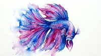 Vibrant watercolor betta fish with flowing fins in purple and blue hues on white background, perfect for aquatic themed designs and decorative projects.