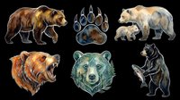 Bear collection featuring six isolated wildlife illustrations including brown bear, paw print, bear cub, roaring bear head, green bear face, and standing black bear. Transparent background, ready for t-shirts, clipart, stickers, sublimation, and print-on-demand designs.