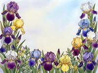 Watercolor iris flowers in purple, yellow, and blue tones arranged along bottom and sides with white space above, suitable for greeting cards, invitations, and floral design projects.