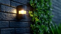 Modern outdoor wall lamp illuminating dark brick wall with climbing green ivy plants creating cozy evening atmosphere for garden and patio design.