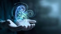 Businessman holding glowing digital kidney hologram with medical data visualization for healthcare technology and organ donation awareness campaigns.