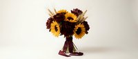 Sunflower bouquet in burgundy sneakers on white background, creative floral arrangement for autumn decor and seasonal marketing campaigns.
