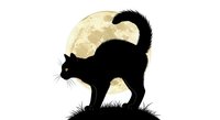 Black cat silhouette with arched back against full moon, isolated on white background. Suitable for Halloween designs, t-shirts, and graphic projects.