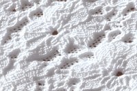 Delicate white lace fabric with intricate floral eyelet pattern creates romantic texture, close-up macro view shows detailed needlework and openwork design.