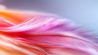 Delicate pink and orange feather macro showing soft texture and gentle curves against blurred background, creating ethereal abstract composition for wellness designs.