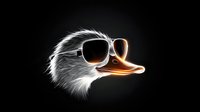 Stylized ostrich head with white sunglasses glowing on black background, digital art effect creates luminous orange beak and dramatic contrast. Isolated design element.