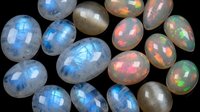 Collection of polished opal gemstones displaying rainbow fire and iridescent colors on black background for jewelry design and luxury accessories.