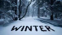 Snowy forest landscape with the word WINTER written in dark stones on white snow, surrounded by frost-covered trees in a moody winter scene.