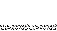Seamless pattern of flying birds silhouettes in black, tiling continuously for backgrounds, textiles, wallpapers, and graphic design projects.
