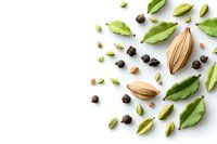Green cardamom pods, seeds and fresh leaves scattered on white background in minimal composition, spice ingredients for cooking and flavoring.
