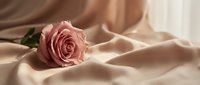 Single pink rose lying on soft beige silk fabric with gentle folds and warm lighting creating romantic elegant atmosphere for wedding or luxury design.