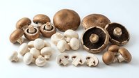 Assorted fresh and dried mushrooms including brown caps, white button varieties, and portobello types arranged on white background for culinary use.