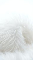 Soft white fluffy fur texture close-up with natural fibers and cozy winter warmth feeling for home decor and fashion design projects.