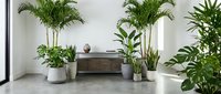 Modern minimalist living room interior with lush green houseplants in decorative pots creating natural home decor and biophilic design atmosphere.