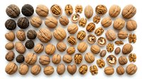 Assorted walnuts in shells and halves arranged on white background. Healthy organic nuts rich in omega-3 fatty acids for cooking and snacking.