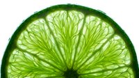 Lime slice cross section showing bright green citrus flesh and detailed segment structure on white background, isolated for design use.
