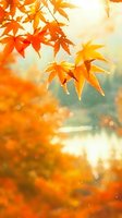 Vibrant orange maple leaves against soft bokeh background with sunlight streaming through branches creating magical autumn atmosphere for seasonal designs.