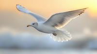 Graceful white seagull soaring through golden sunset sky with spread wings, soft bokeh background creates dreamy atmospheric nature scene.