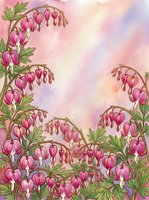 Watercolor bleeding heart flowers with pink and purple pastel background, botanical art with copy space for greeting cards and prints.