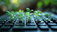 Green sprouts growing through computer keyboard keys symbolize digital transformation, environmental technology, and sustainable innovation in modern business.