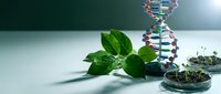 DNA double helix model with green plant leaves and seedlings in laboratory setting representing genetic research, biotechnology and plant science studies.