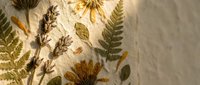 Pressed dried flowers and ferns arranged on textured paper creating natural botanical composition for crafting and scrapbooking projects.