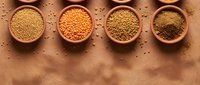 Assorted legumes and grains in wooden bowls on rustic surface. Healthy protein sources including lentils, chickpeas and seeds for cooking and nutrition.