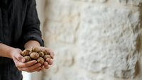 Young adult male with medium skin tone holding a handful of walnuts in shell, wearing dark casual clothing against neutral stone wall background for food, nutrition, and healthy eating concepts.
