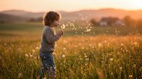 Young child with light brown hair blowing dandelion seeds in golden meadow at sunset, rural landscape background. Childhood wonder and nature exploration.