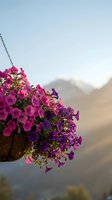 Hanging basket with vibrant pink and purple petunias blooming against mountain landscape backdrop during golden hour sunset light for garden decoration.