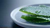 Fresh aloe vera leaves with water drops on white ceramic plate against dark background, natural skincare and wellness concept macro photography.