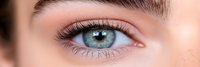 Close-up of beautiful blue eye with natural makeup and well-groomed eyebrow showing detailed iris patterns and long eyelashes for beauty and cosmetic concepts.