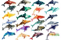 Watercolor whales and dolphins in various colors swimming in different directions create playful marine pattern for fabric, wallpaper and stationery design.
