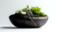 Miniature zen garden in dark wooden bowl with moss, small rocks and fresh green plants creating peaceful minimalist composition on white background.