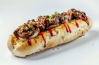 Gourmet beef teriyaki submarine sandwich with caramelized onions, drizzled with sweet and spicy sauce, garnished with green onions on fresh baked roll perfect for menu or food delivery.